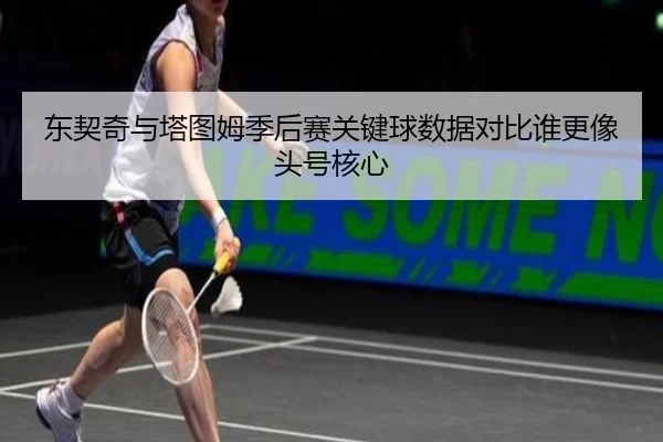 东契奇与塔图姆季后赛关键球数据对比谁更像头号核心